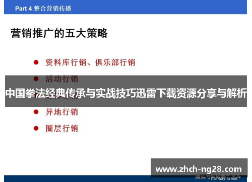 中国拳法经典传承与实战技巧迅雷下载资源分享与解析